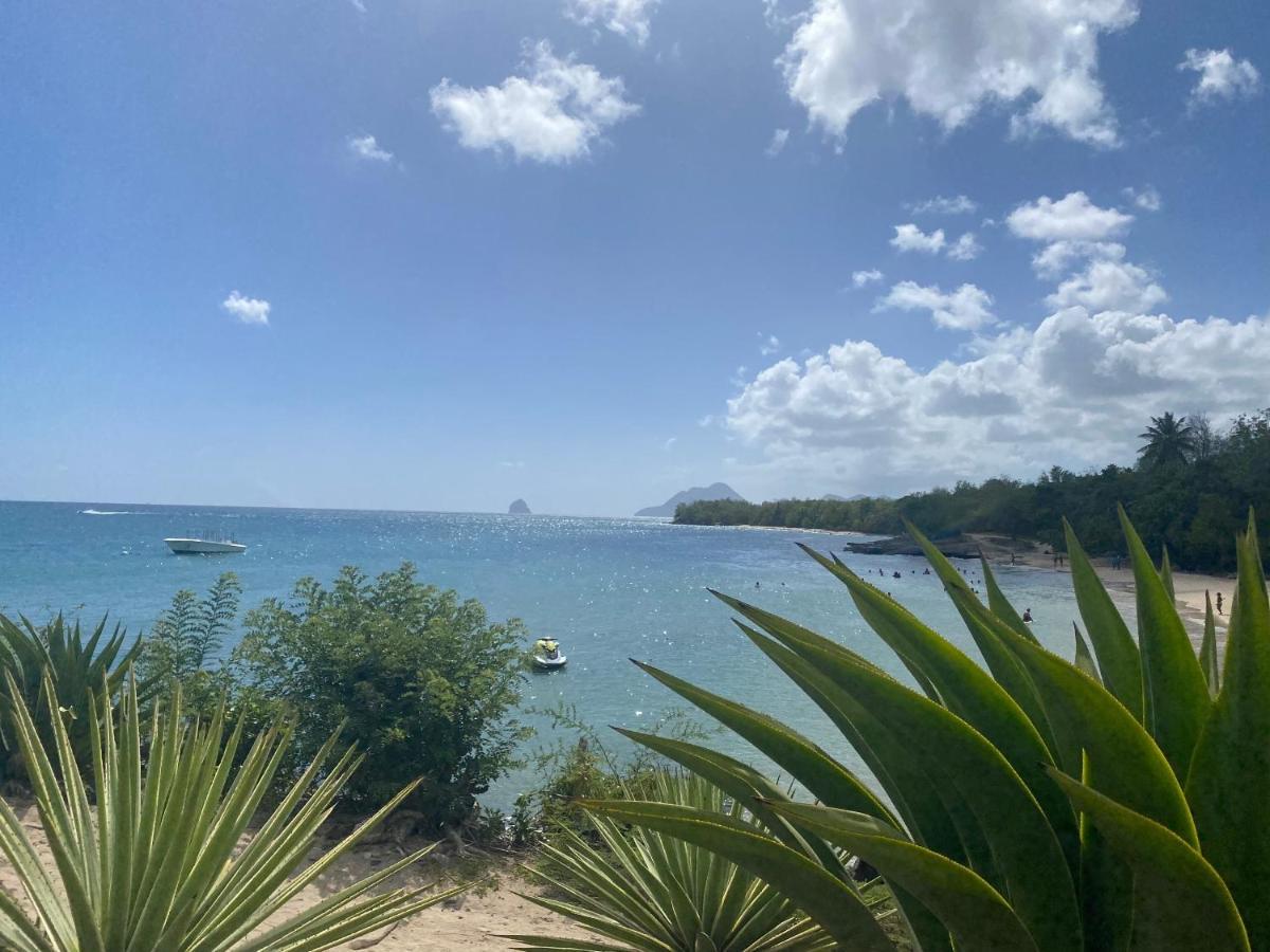 Studio Rdc La Desirade Martinique Acces Direct Plage Sainte-Luce Luaran gambar