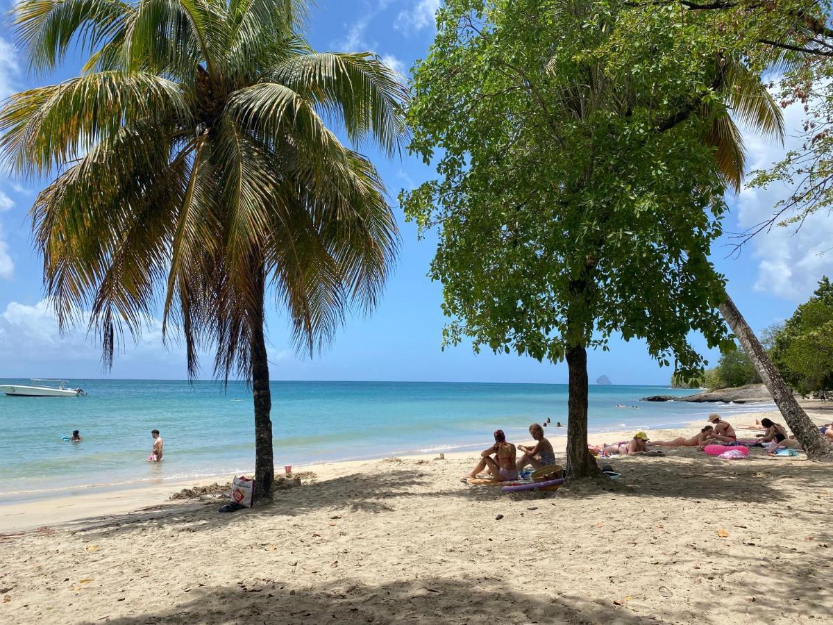 Studio Rdc La Desirade Martinique Acces Direct Plage Sainte-Luce Luaran gambar